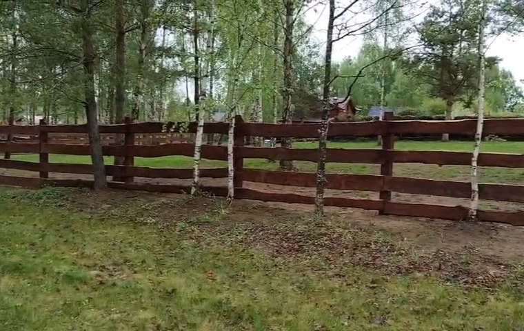 Drewniane ogrodzenie z desek, bejcowane, na działce z brzozami