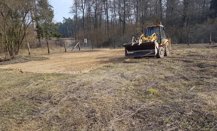 Koparko-ładowarka JCB przygotowuje wjazd i czyści teren przy lesie